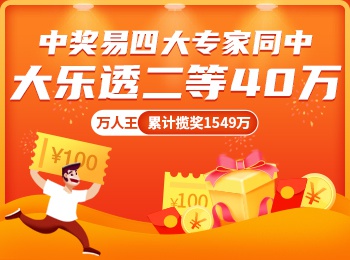 4949澳门今晚开奖结果查询,澳门彩票开奖结果查询，探索数字背后的故事与机遇