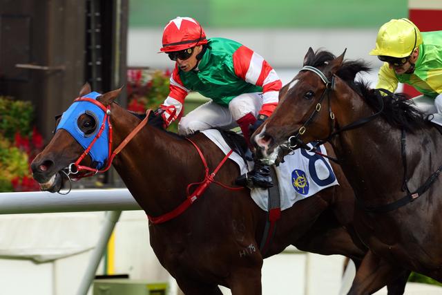 香港今晚开什么特马,香港今晚开什么特马，探索赛马运动的魅力与激情