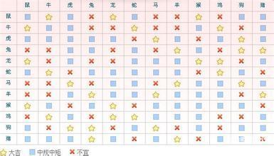 88887777m管家婆生肖表,揭秘88887777m管家婆生肖表，传统与科学的交融