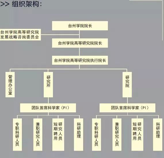 新奥门免费资料大全最新版本更新,新澳门免费资料大全最新版本更新，深度解析与实用指南